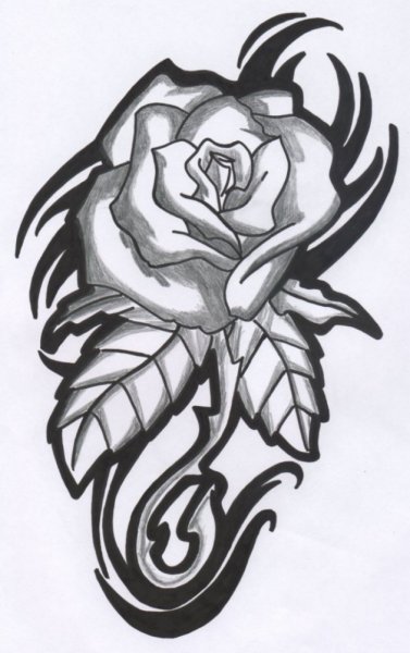 rose.jpg
